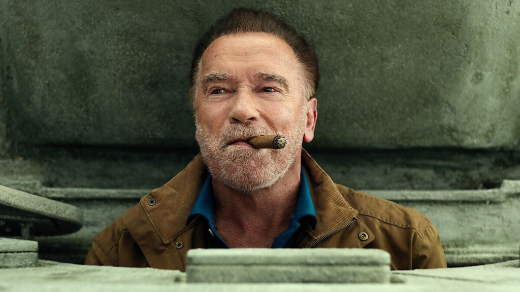 FUBAR Season 2 Cast: Who's Joining Arnold Schwarzenegger in Netflix's Action-Comedy Series